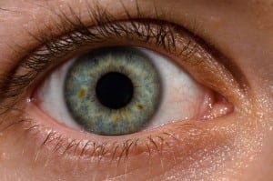 Ophthalmology and Eye