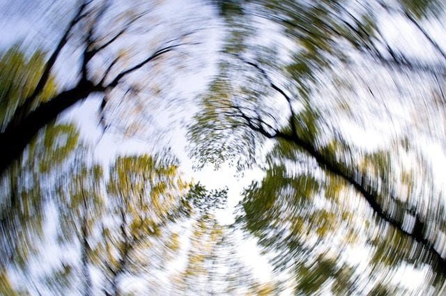 What conditions and diseases can cause dizziness?