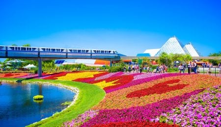 The Best Amusement Parks In America