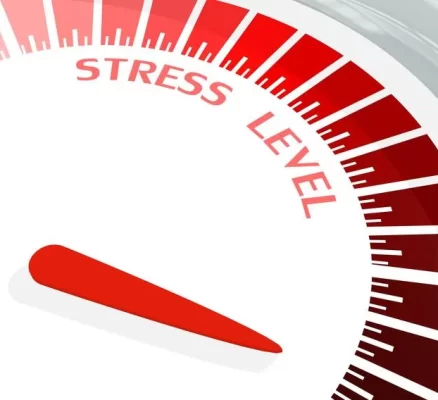 Effective Stress Management Techniques