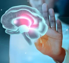 How Your Brain Actually Works