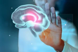 How Your Brain Actually Works