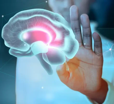 How Your Brain Actually Works