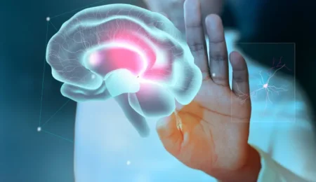 How Your Brain Actually Works