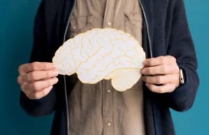 Best Foods For Brain Health And Mental Performance